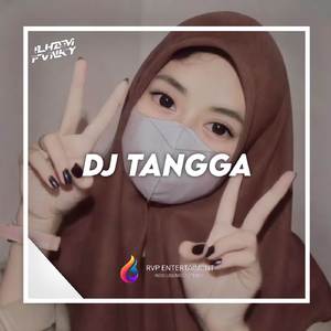 DJ TANGGA (CINTA TAK MUNGKIN BERHENTI SECEPAT SAAT AKU JATUH HATI)