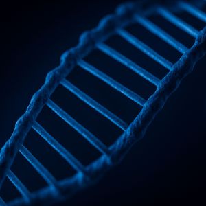 Reequilíbrio Biológico