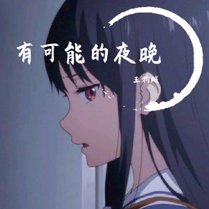 有可能的夜晚