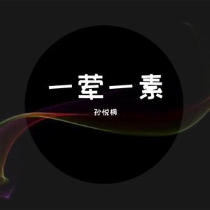 一荤一素 孙悦桐