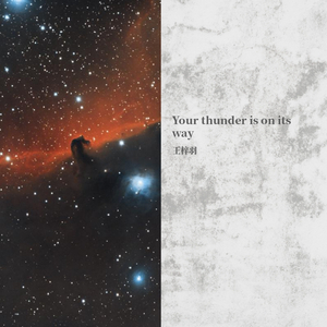 劈你的雷正在路上 王梓羽