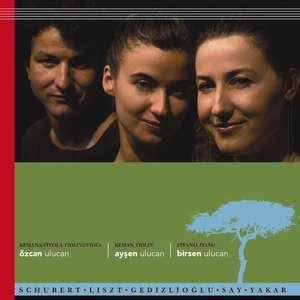 Arpeggione Sonata D.821-Allegro moderato- Addagio-Allegretto