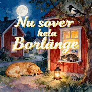 Nu sover hela Borlänge