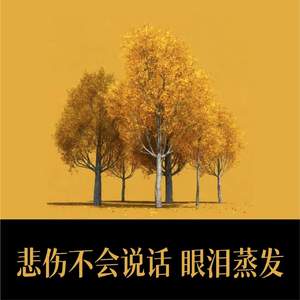 悲伤不会说话 眼泪蒸发