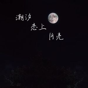 潮汐恋上月亮