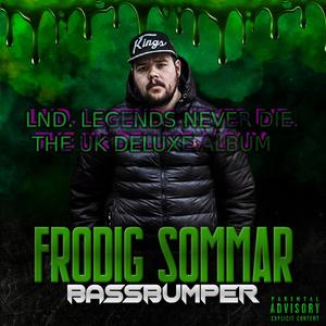 DOTA (HAPPYCORE EDIT) (feat. BASSBUMPER CUT.) (Radio Edit)