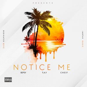 NOTICE ME (feat. T.A.Y)