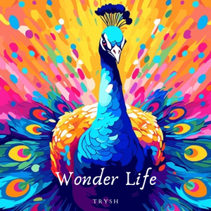 Wonderlife