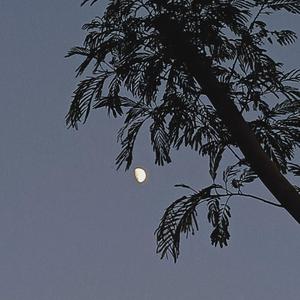 阿拉斯加的海湾3