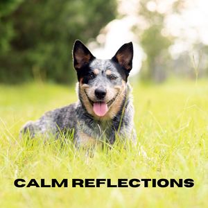 Whispering Winds (Loopable, No Fade)