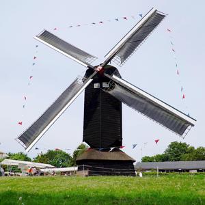 The Windmill