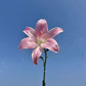 妈妈教我的歌