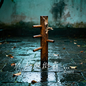 功夫加街霸-1