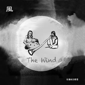 夏日吟(钢鼓与巫毒鼓)