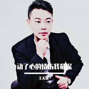 动了心的情伤我最深