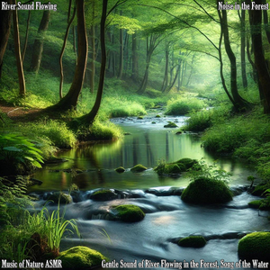 Gentle Sound of River Flowing in the Forest, Caress of the River