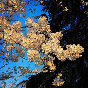 心是无人的旷野