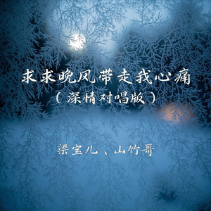 求求晚风带走我心痛(深情对唱版)