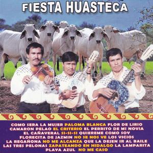 La Lamparita