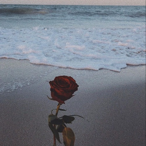 sitting on da beach alway give me dat chill vibes