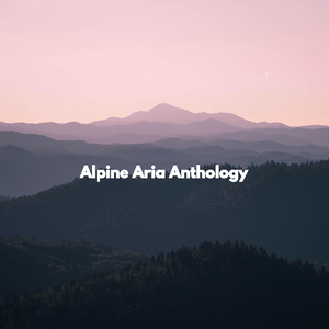 Successful Backdrops for Refreshing Positivity