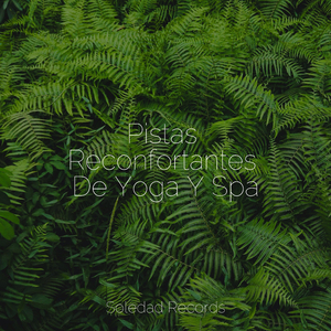 Prosperidad