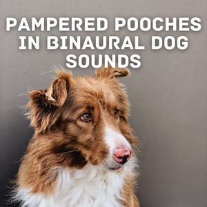 Pawsitively Peaceful Pups