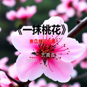一抹桃花