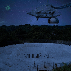 Темный лес
