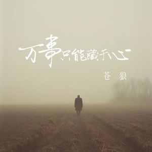 万事只能藏于心