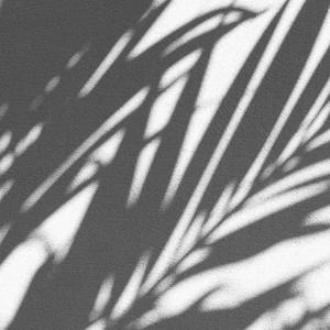 拿走了什么（男声弹唱）