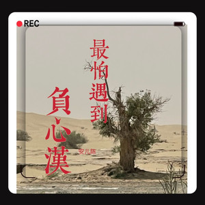 最怕遇到负心汉DJ安儿陈版