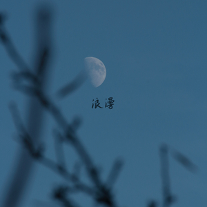 花前月下 (古筝)