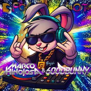 Bunny Dj (feat. 6oodBunny)