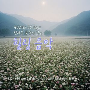 메밀밭 (Buckwheat field)