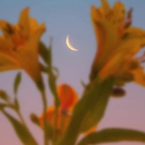 Various Artists-80s_wave peaches（Lilkid remix）