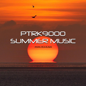Telemark Commander (Original Mix)