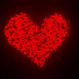 JUST WANNA HAVE FUN?