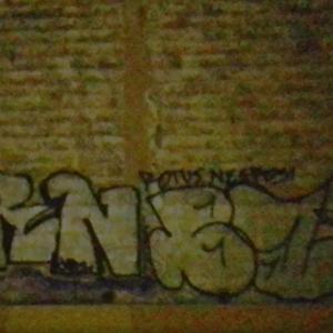 Lavia