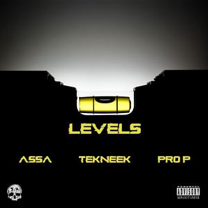 Levels (feat. Tekneek & Pro P)