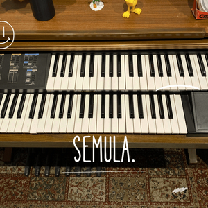 Perempuan Yang Terlintas