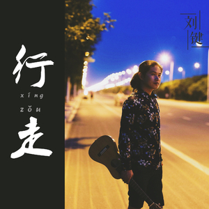 一个人一把琴『LIVE』