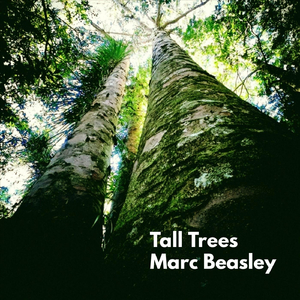 Tall Trees
