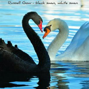 Black Swan, White Swan