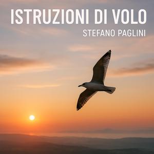 Istruzioni di Volo