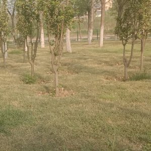 烙印下这永恒一刻