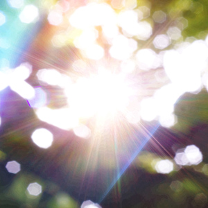 Standard Reverence IX