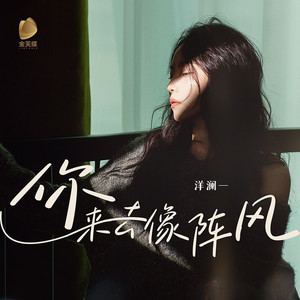 你来去像阵风