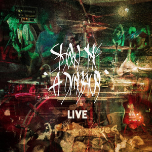 Drawing the Line (Live)