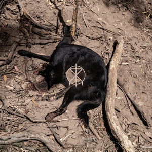 Bloodhounds (Instrumental)